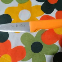 چاقو تیز آشپزخانه