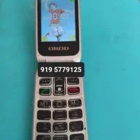 گوش تاشو درحدنو