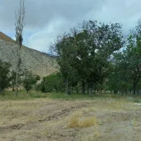 باغ ۳ هزار متری میوه و گردو با درختان کهنسال|فروش زمین و ملک کلنگی|مشهد, تبادکان|دیوار