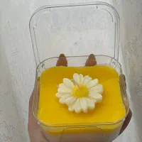شمع بابونه