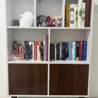 کتابخانه|کتابخانه، شلف، قفسه‌های دیواری|تهران, شیخ هادی|دیوار