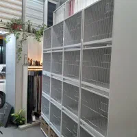 قفس اروپایی مخصوص قناری ،گلدین  وانواع فنچ|لوازم جانبی حیوانات|تهران, بازار|دیوار