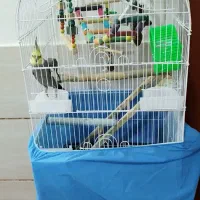 قفس پرنده ۱۰۳۴ و قفس کلبه ای کوچک