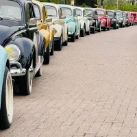 اجاره فولکس واگن در رنگ بندی