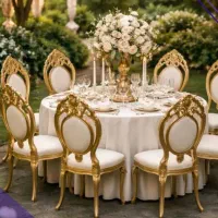 صندلی ای بی اس مدل مها/تالاری و تالار