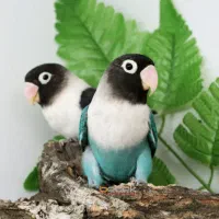 فروش|پرنده|آذرشهر, |دیوار