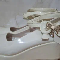 کفش مجلسی