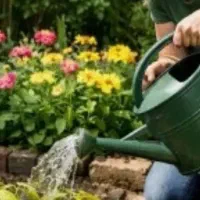 خدمات باغبانی سیار در زنجان