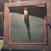 کبوتر|لوازم جانبی حیوانات|اهواز, کوی رمضان|دیوار