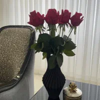 گل شب چله مصنوعی خارجی|گل مصنوعی|مشهد, الهیه|دیوار