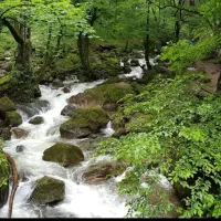 یک روز نمک آبرود
