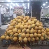 فروش زمین با کاربری تجاری