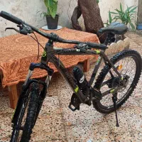 دوچرخه بزرگسال|دوچرخه، اسکیت، اسکوتر|رامسر, |دیوار