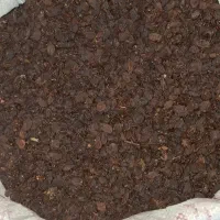 کشمش و مویز|خوردنی و آشامیدنی|بیضا, |دیوار