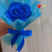 گل، گل ابدی. کادو روز مادر، کادو روز زن،|گل مصنوعی|تربت جام, امام|دیوار