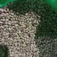 لوبیا قرمز،لوبیاچیتی،نخوددرشت،عدس ریزدرجه یک سرحد|خوردنی و آشامیدنی|مرودشت, تامین اجتماعی‎|دیوار