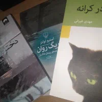 کتاب دختری در قطار و ریگ روان و کافکا در کرانه|کتاب و مجله ادبی|قم, نیروگاه|دیوار