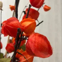 گل مصنوعی و دکوری