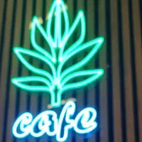 مراسم تشریفات یوکا