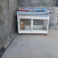 قفس فروشی جای مرغ کرندغرب کامل نو