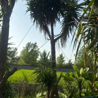 فروش زمین تجاری  مسکونی فوری