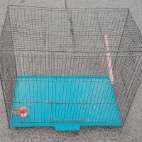 قفس سالم و تمییز