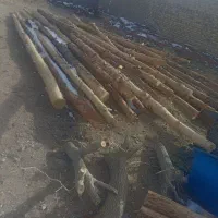 پل چوبی|حراج|تایباد, |دیوار