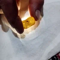 مهره کلکسیونی|کلکسیون اشیاء عتیقه|قم, شاه ابراهیم|دیوار