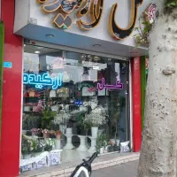 گل ارکیده|گل و گیاه طبیعی|محمدشهر, همایون ویلا|دیوار