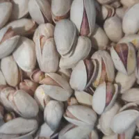 فروش پسته ومغز پسته بصورت عمده وخرده|خوردنی و آشامیدنی|ایلخچی, |دیوار