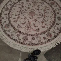 فرش گرد آپادانا و کفش مجلسی