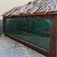 آکواریوم چوبی با حجم کافی و ظاهر زیبا و قیمت مناسب