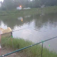 ۴ عدد چوب چرخ GWاصلی|ماهیگیری|ری, شهادت|دیوار