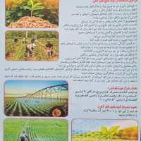 کود اهن فسفات کلسیم ازت ، برای گلخانه ،صیفی،درخت