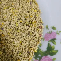 گرده گل زنبور|عمده‌فروشی|قروه, |دیوار