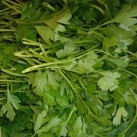 سبزی خورد شده|خوردنی و آشامیدنی|رشت, چله خانه|دیوار