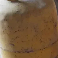 کپسول ایرانگاز