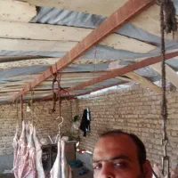 قصاب سیار|حیوانات مزرعه|مشهد, توس (بلوار توس)|دیوار