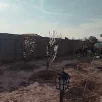 فروش فوری  فوری باغچه در گلزار|فروش خانه و ویلا|پاکدشت, پاکدشت (مامازند)|دیوار