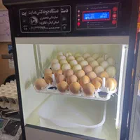 نمایندگی دستگاه جوجه کشی هدایت در گیلان|لوازم جانبی حیوانات|رشت, انصاری|دیوار