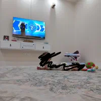 تلویزیون الجی اصل ۴۹اینچ