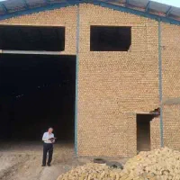 فروش سوله کارگاهی|فروش دفتر صنعتی، کشاورزی، تجاری|مهریز, |دیوار