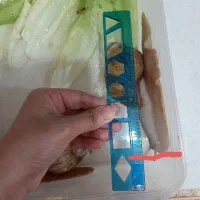 دو عدد حلزون کلاژن بزرگ