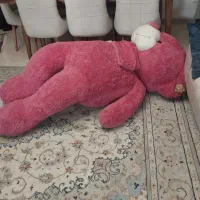 شاسخین خارجی نو