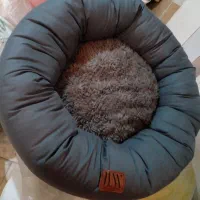 جای خواب پت