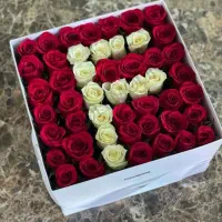 گل تزیینی به فروش میرسد