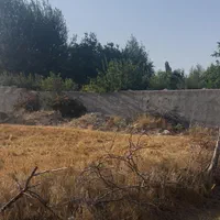 فروش زمین ۳۰۰ متری|فروش خانه و ویلا|کوراییم, |دیوار