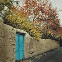 همخونه اقانیازدارم