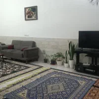 خانه اجاره ای|اجارهٔ خانه و ویلا|قم, چهل درخت‎|دیوار