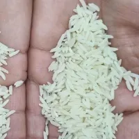 فروش برنج هاشمی هیزمی سنتی پدر بابای سابق ۱۷۹ ت|خوردنی و آشامیدنی|رشت, استقامت 1|دیوار